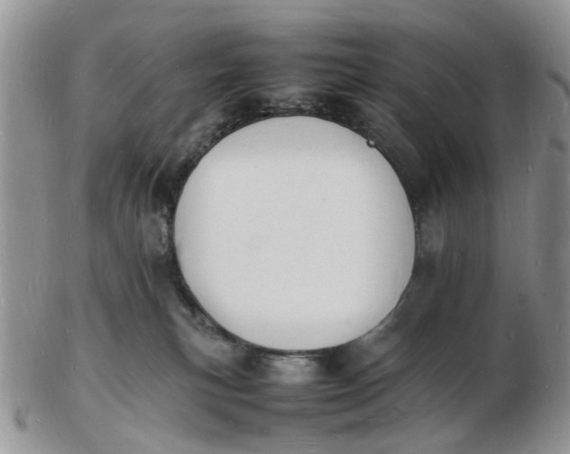 X0000102780183200809021100