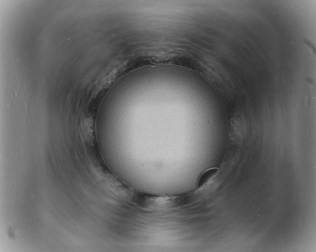 X0000102780184200809021100