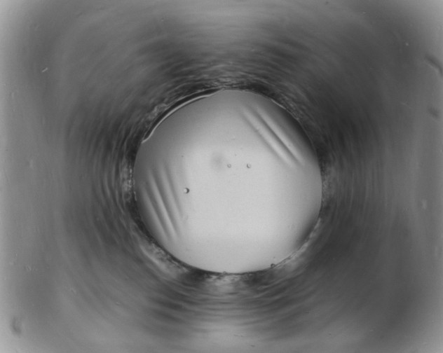 X0000102780186200809021100