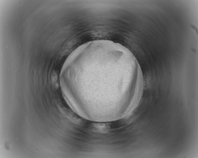 X0000102780187200809021100