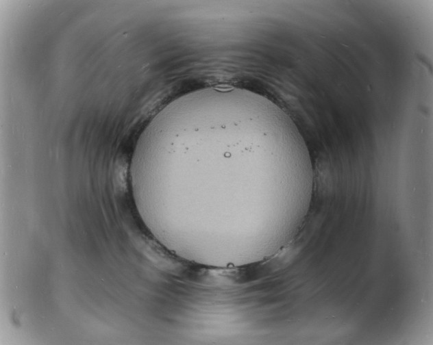 X0000102780188200809021100