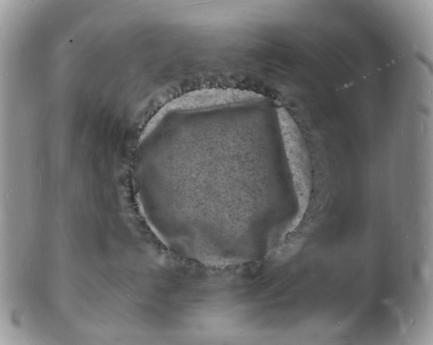 X0000102780192200809021100