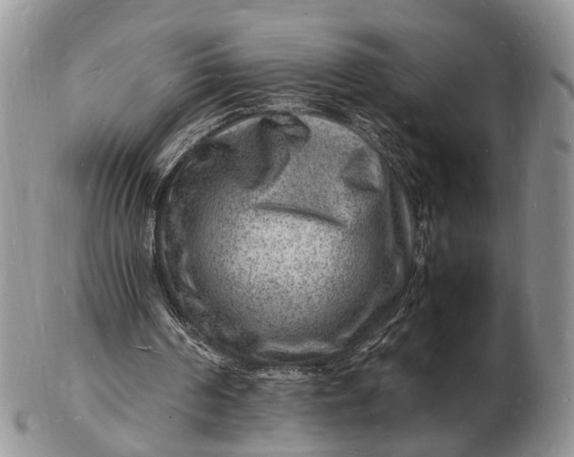 X0000102780194200809021100