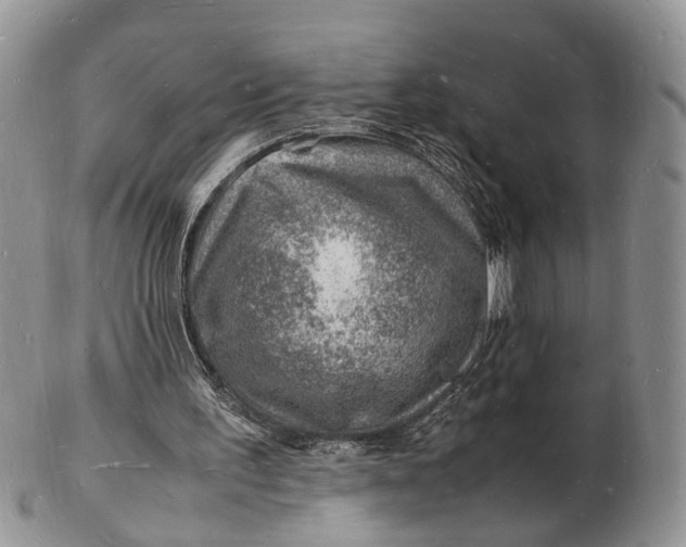 X0000102780195200809021100