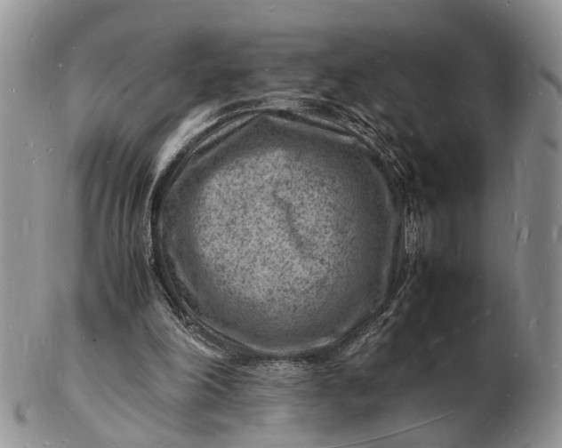 X0000102780198200809021100