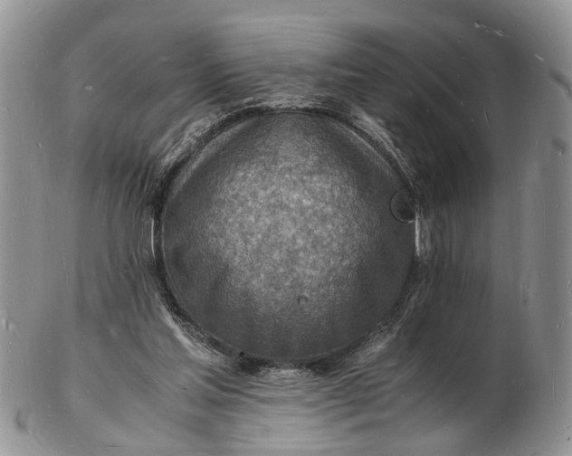 X0000102780205200809021059