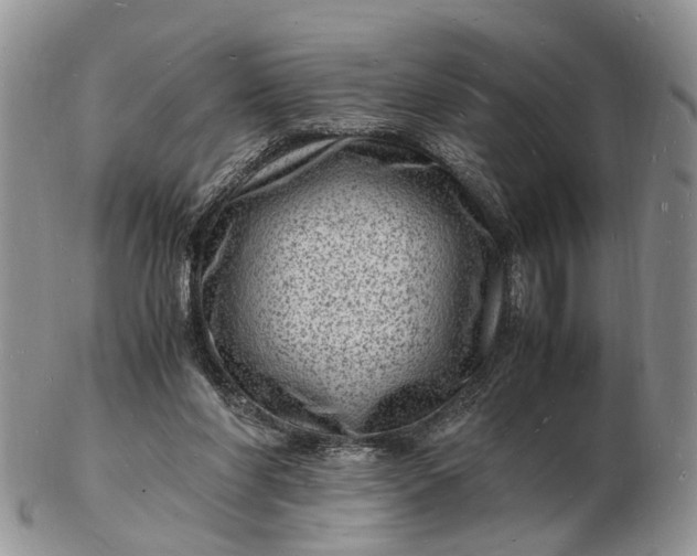 X0000102780206200809021059