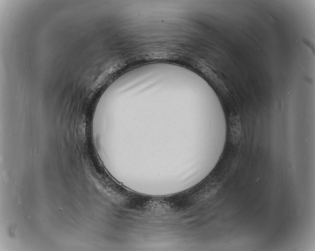 X0000102780207200809021059