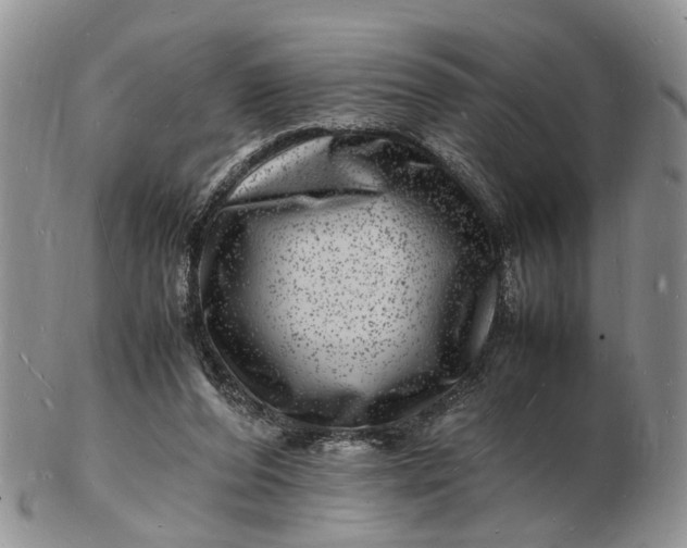 X0000102780208200809021059