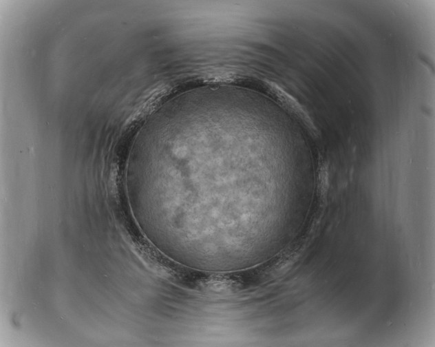 X0000102780209200809021059