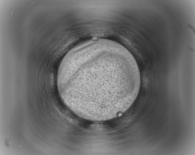 X0000102780211200809021059