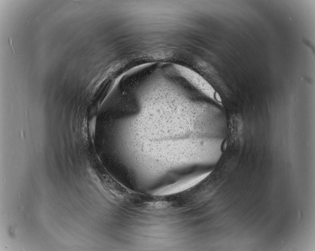 X0000102780212200809021059