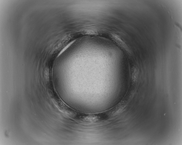 X0000102780213200809021059