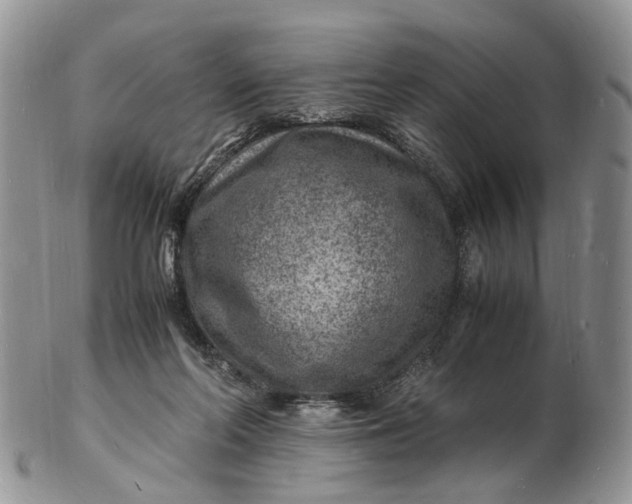 X0000102780214200809021059