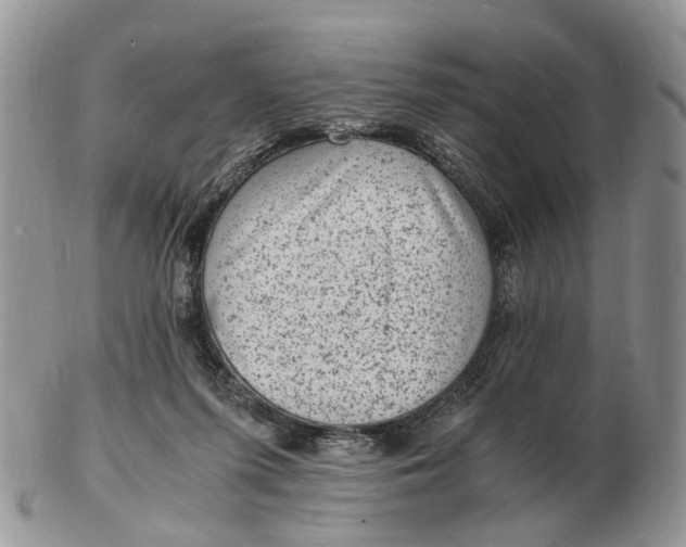 X0000102780215200809021059