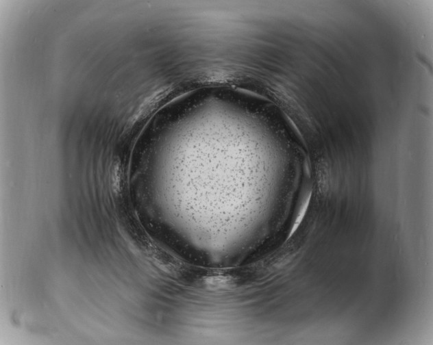 X0000102780216200809021059