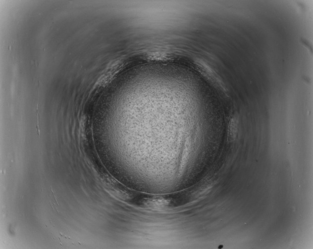 X0000102780217200809021059