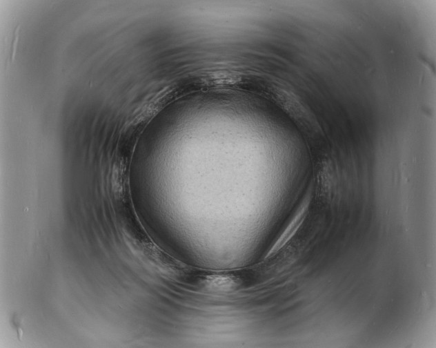 X0000102780218200809021059