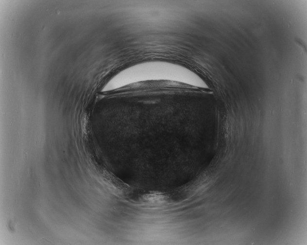 X0000102780219200809021059