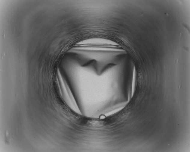 X0000102780221200809021059