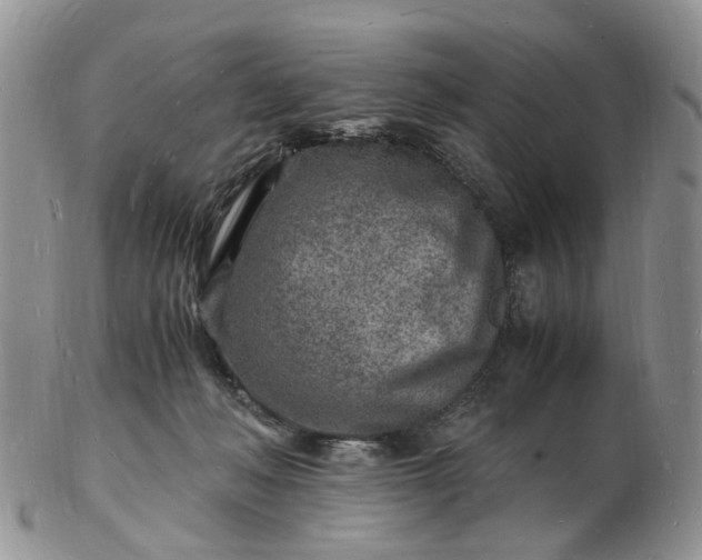 X0000102780222200809021059