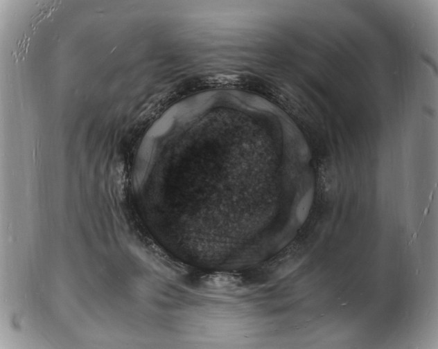 X0000102780223200809021059