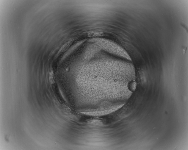 X0000102780224200809021059