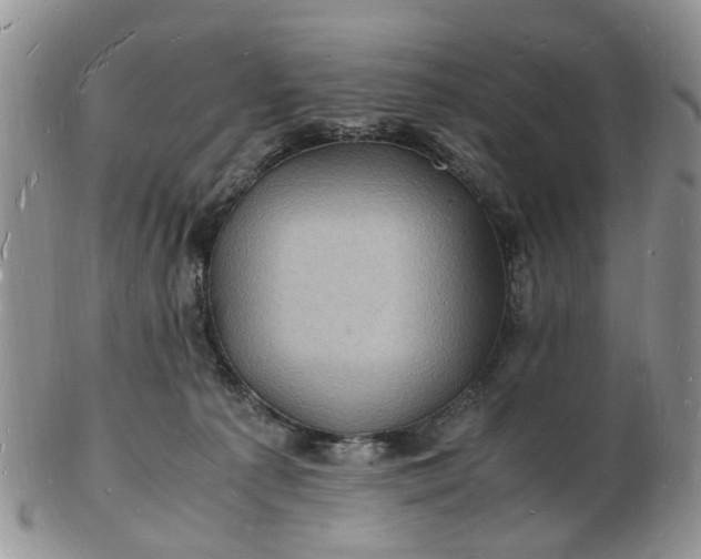 X0000102780225200809021059