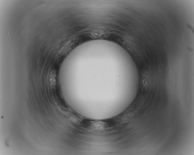 X0000102780226200809021059