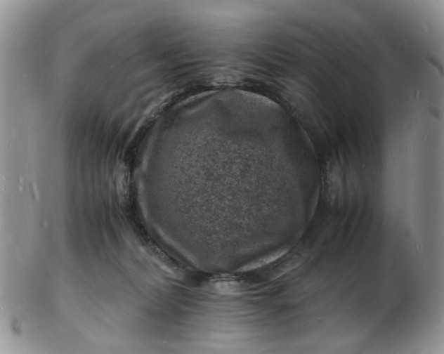 X0000102780228200809021059