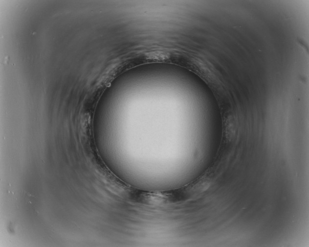 X0000102780229200809021059