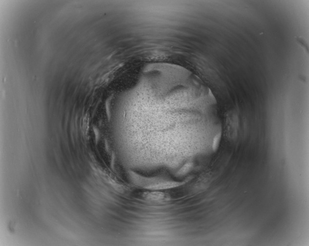 X0000102780230200809021059