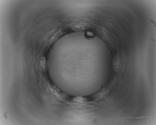 X0000102780231200809021059