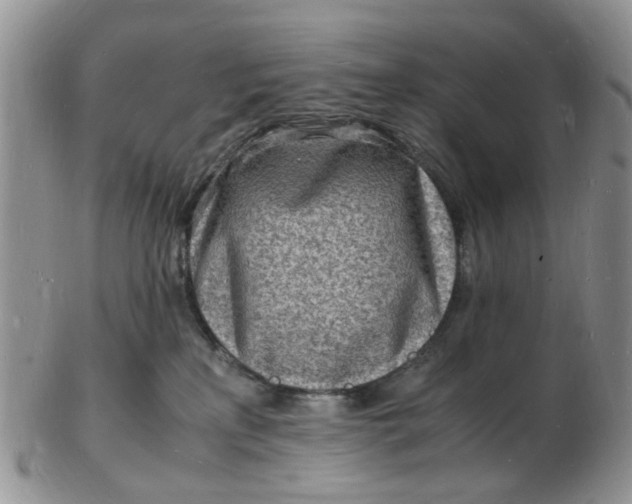 X0000102780233200809021059