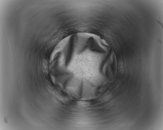 X0000102780234200809021059