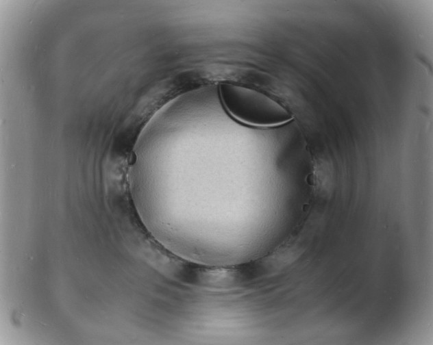 X0000102780237200809021059