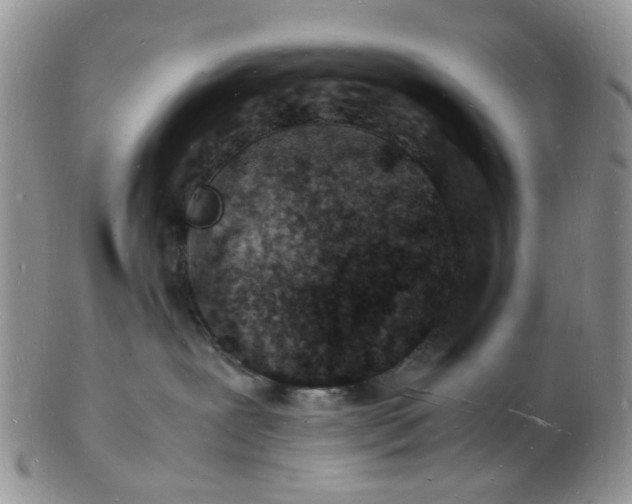 X0000102780239200809021059