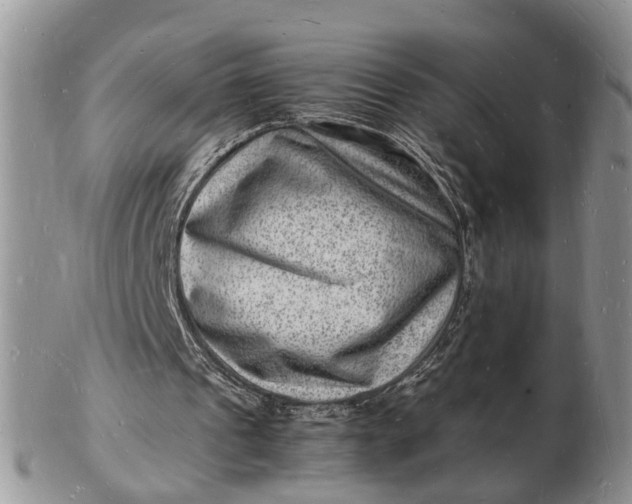 X0000102780241200809021058