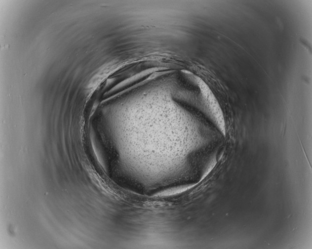 X0000102780242200809021058