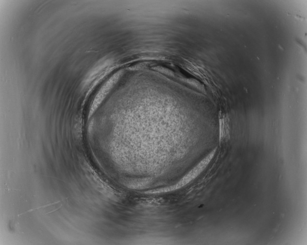 X0000102780243200809021058