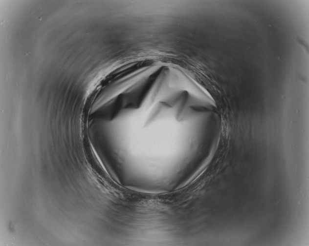 X0000102780244200809021058