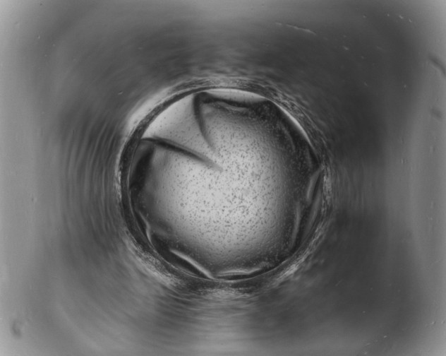 X0000102780246200809021058