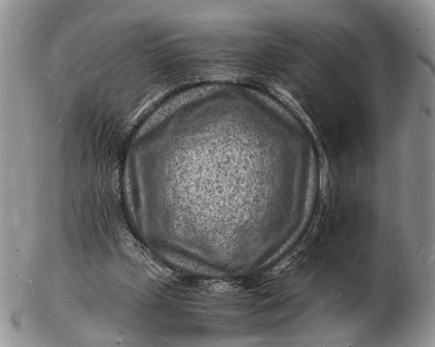 X0000102780249200809021058