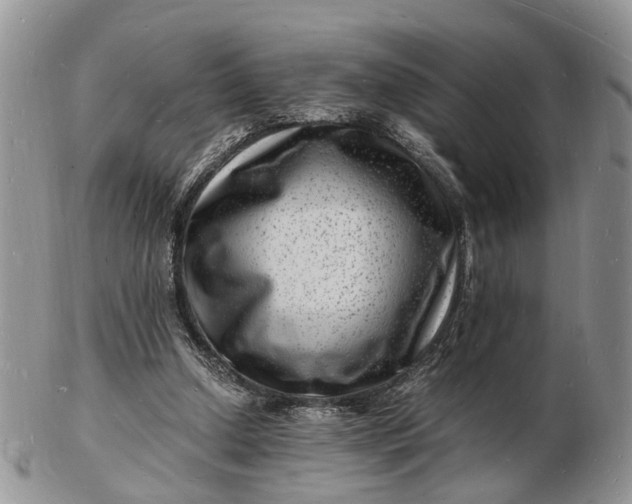 X0000102780250200809021058