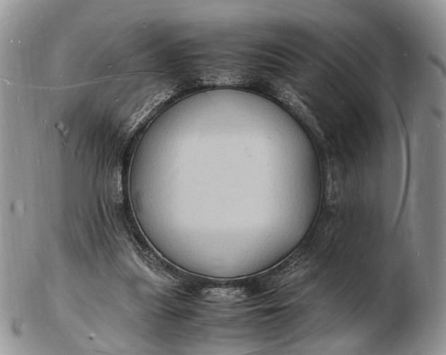 X0000102780251200809021058