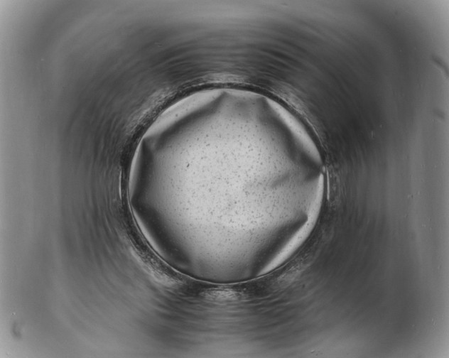 X0000102780253200809021059