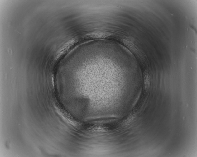 X0000102780254200809021059