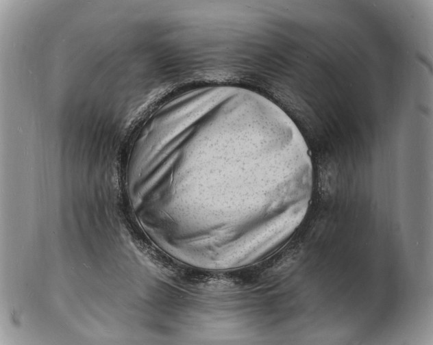 X0000102780256200809021059