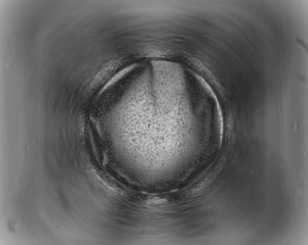 X0000102780257200809021059