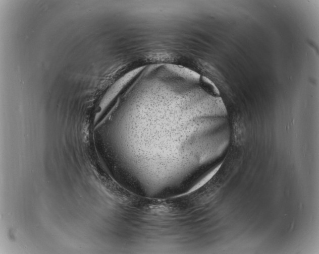 X0000102780259200809021059